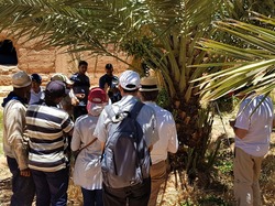 A group of people discussing while standing around a palm tree